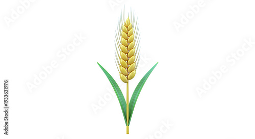 Golden Wheat Ear with Green Leaves