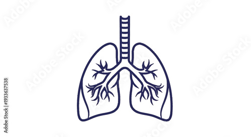 Human Lungs Anatomy Illustration Medical Science Symbol.