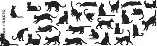 Cat silhouette collection vector set, various kitten and adult cat poses isolated black pet animal design elements on white background illustration