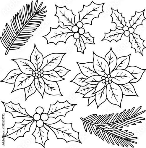 Christmas plants coloring page with poinsettia flowers holly berries and pine needles cad drawing flat vector illustration for kids