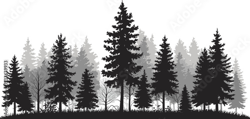 Pine forest landscape silhouette vector illustration, layered evergreen trees woodland scene isolated black and gray nature background design on white backdrop