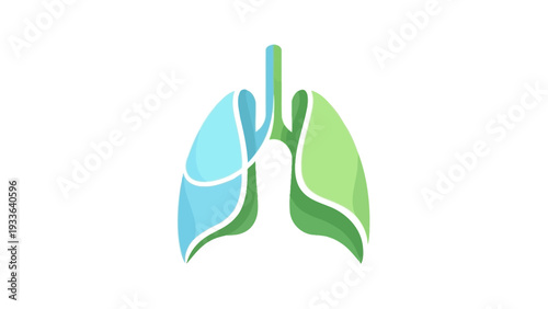 Human Lungs Anatomy Illustration.