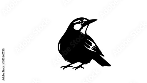 Black Silhouette of a Bird.