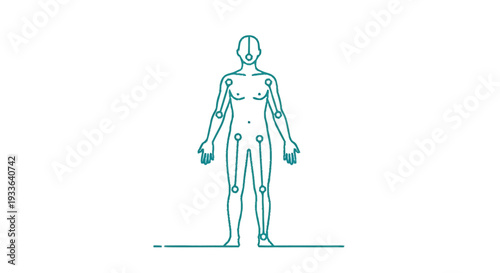 Human Anatomy Figure with Joint Markers.