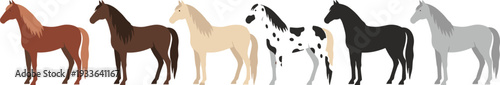 Set of Six Different Horse Breeds and Coat Colors Including Chestnut Bay Palomino Appaloosa Black and Grey Equine Vector Illustrations Isolated on White Background