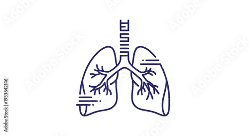 Illustration of human lungs and trachea medical diagram.