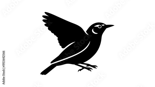 Black Bird Silhouette in Flight.