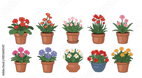 Assortment of ten colorful blooming flowers in terracotta pots arranged in two rows against a clean white background for design.