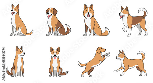 Set of eight illustrations showing a brown and white dog in various poses including sitting, standing, jumping, and looking forward.