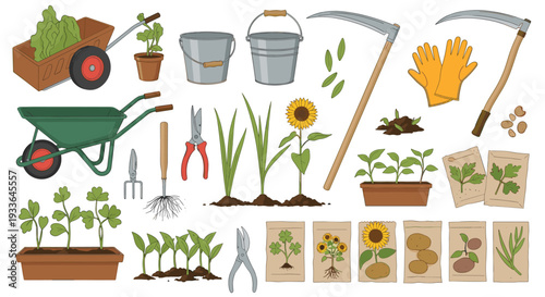 Collection of gardening equipment including wheelbarrows, tools, seedlings, and seed packets for horticulture projects.