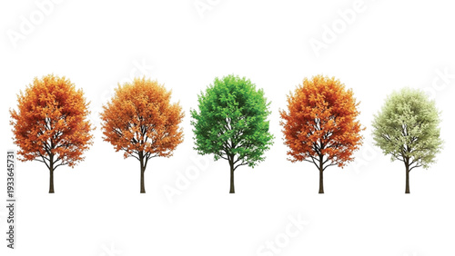 Five Trees in Different Autumn Colors fall orange