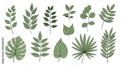 Set of detailed green leaf illustrations in different shapes and sizes including palm, monstera, and fern fronds with delicate line work.