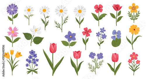 Diverse collection of colorful spring and summer flowers including tulips, daisies, and bluebells for botanical and floral designs.