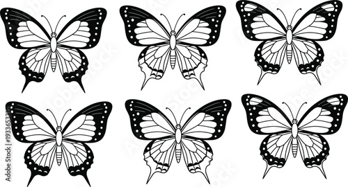 A professional photographer captures a stunning landscape scene using a high-end camera setup on a tripod during the golden hour