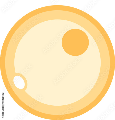 Human Female Egg Cell Ovum anatomy biology yellow orange color