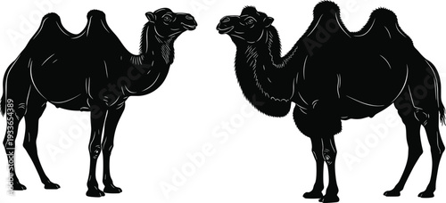 A professional photographer captures a stunning landscape scene using a high-end camera setup on a tripod during the golden hour