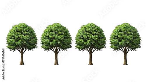 Four Green Trees in a Row on White Background