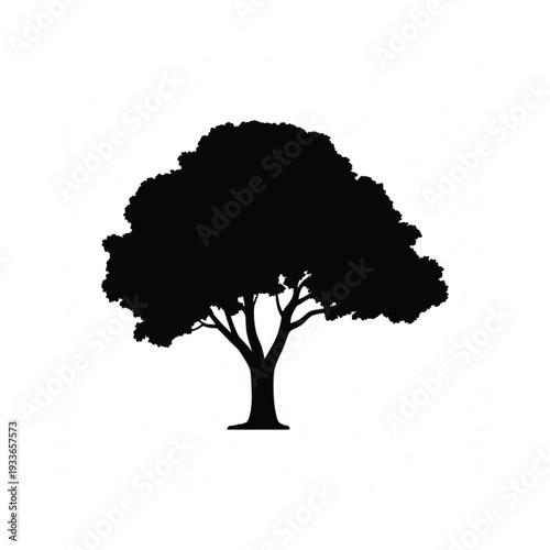 A stark silhouette of a full mature tree against a white background