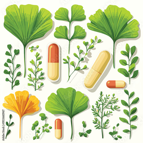 Natural Herbal Supplement Capsules With Green Ginkgo Leaves and Botanical Ingredients , vector style simple color