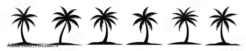 black palm trees set isolated on white background palm