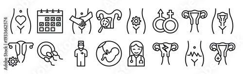 pack of gynaecology line vector icons 