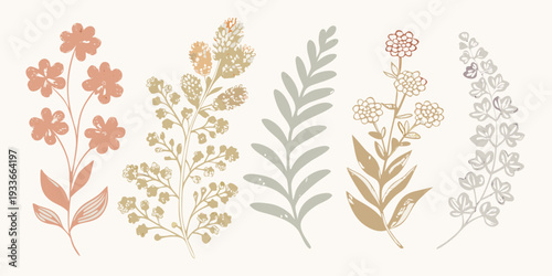 Botanical illustration featuring delicate floral and foliage arrangements