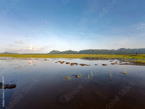 Panoramic landscape of a flooded green field with fresh grass and water reflections under a clear blue sky. 