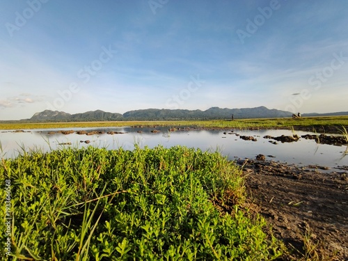 Panoramic landscape of a flooded green field with fresh grass and water reflections under a clear blue sky. 