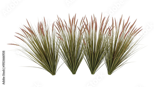Green and Brown Grass Tufts with Red Tips Arranged in a Row