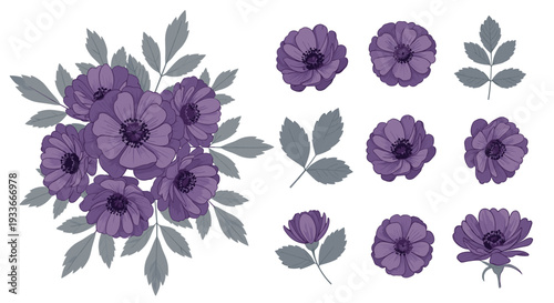 Collection of purple anemone flower illustrations including a full bouquet and individual petals and leaves in a detailed artistic style.