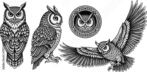 Detailed Owl Illustration Set with Great Horned Owl Mascots, Wise Bird Silhouettes, and Night Hunter Predator Vector Graphics.