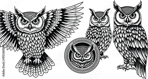Detailed Owl Illustration Set with Great Horned Owl Mascot, Wise Bird of Prey Silhouettes, and Night Hunter Vector Graphics.