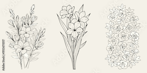 Foto Elegant floral arrangements of freesia and gladiolus in line art style