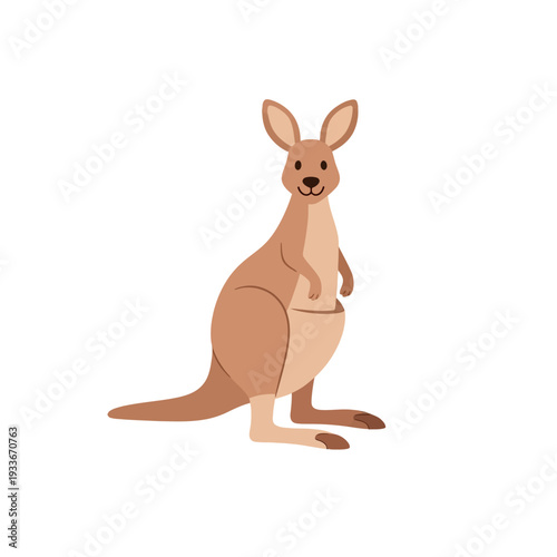 Cute cartoon kangaroo standing isolated on white background, Australian marsupial illustration.