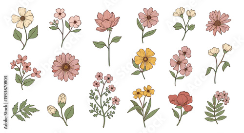 Large set of individual hand drawn flower illustrations featuring different species in soft pink, yellow, and beige colors.