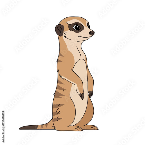 Cute Cartoon Meerkat Standing Upright, Isolated on White Background, Vector Illustration