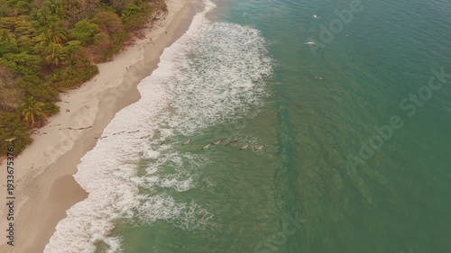 Aerial tracking shot following pelicans flying over turquoise ocean waves along tropical beach coastline