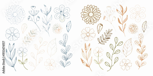 Delicate floral illustrations a collection of sketched botanical elements