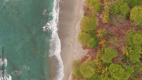 Static aerial top down view of tropical coastline with turquoise ocean waves and lush palm forest