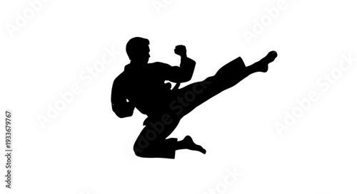 Martial Arts Silhouette: Karate Fighter Performing High Kick