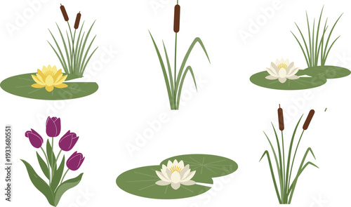 Vector Illustration Set of Water Lily Lotus Flowers Pond Reeds and Tulips for Garden Nature Landscape Design and Wetland Environment Graphics