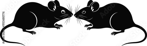 Two aggressive black and white wolf silhouettes snarling with bared teeth and curved tails facing each other on white background