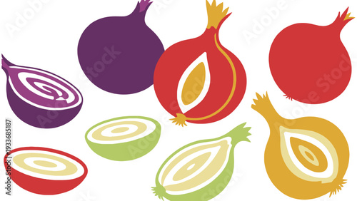 Onion vector illustration of various colorful onion types and slices