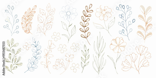 Delicate botanical illustrations of various leaves and floral elements