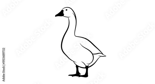 Simple Line Drawing of Goose.