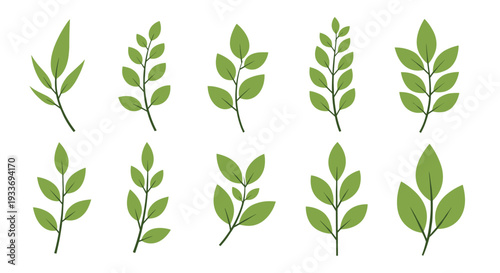 Collection of ten different green leaf sprigs and branches with various leaf shapes and arrangements for ecological and natural product labels.