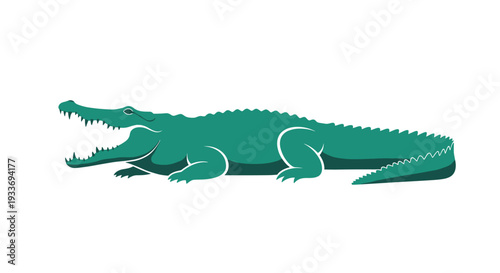 Powerful green crocodile with its large mouth open and sharp teeth visible lies on the ground to show wild predator behavior in nature.
