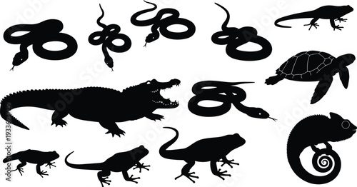 Reptile and Amphibian Silhouette Collection with Snake Crocodile Turtle Lizard Frog and Chameleon Isolated on White Background