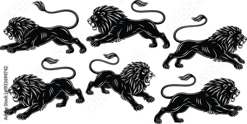 Roaring Lion Silhouette Set in Dynamic Running Poses Isolated on White Background Wild Animal Vector Illustration Collection