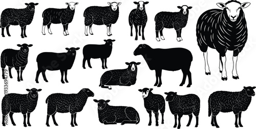 Sheep Silhouette Collection Set Isolated on White Background, Farm Animal Livestock Black Vector Illustration Bundle